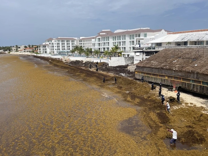 Sargazo cambia el paisaje del Caribe y afecta al turismo