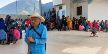 Desplaza violencia a 1.6 millones de mexicanos