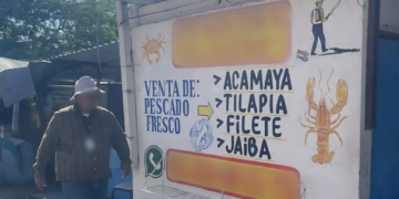 Claurusan pescadería por vender carne de cocodrilo