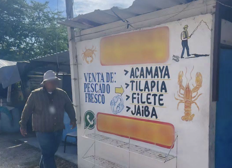 Claurusan pescadería por vender carne de cocodrilo