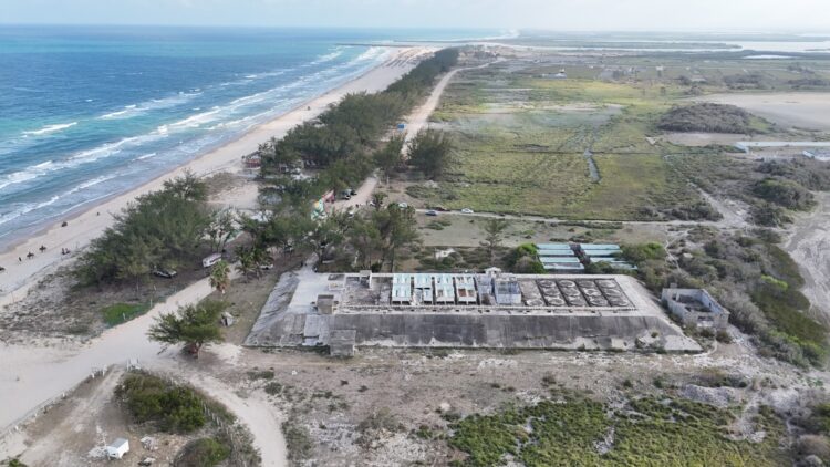 Museo de Tortuga Lora avanzará en La Pesca