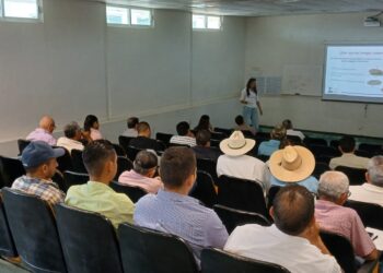 Refuerza capacitación a citricultores para proteger huertas contra el HLB