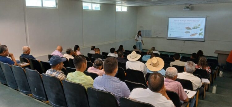 Refuerza capacitación a citricultores para proteger huertas contra el HLB