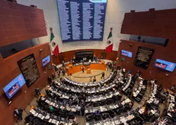 Senado aprueba ley de bienestar animal nacional