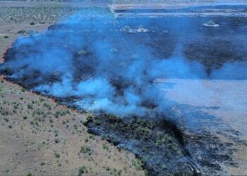 Incendio consume 300 hectáreas en Jiménez