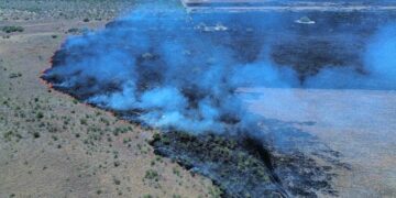 Incendio consume 300 hectáreas en Jiménez