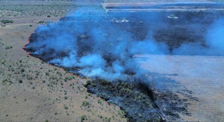 Incendio consume 300 hectáreas en Jiménez