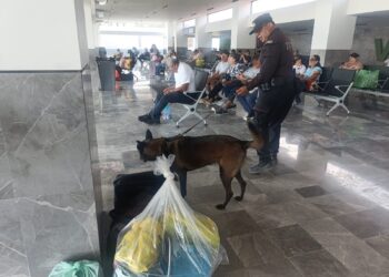 Binomios K-9 de Guardia Estatal refuerzan seguridad en Central de Autobuses de Victoria