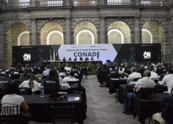 Es Tamaulipas sede de nueve disciplinas en la Olimpiada Nacional 2027