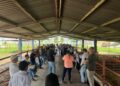 Refuerza la UAT brigadas de contención frente al gusano barrenador en Tamaulipas