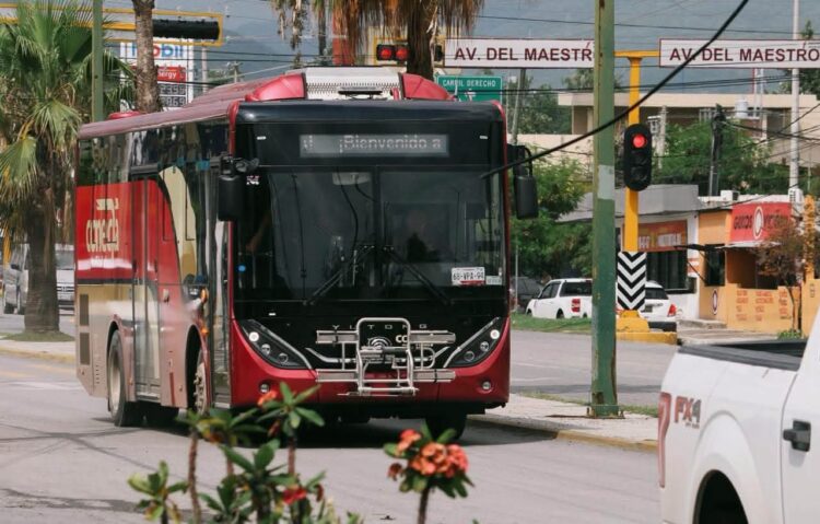 Instalarán 25 paraderos para la ruta de transporte público “Conecta” en Victoria