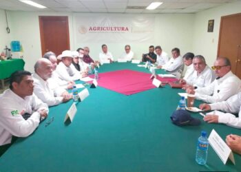 Preparan plan de reconversión agrícola para aliviar situación del campo tamaulipeco