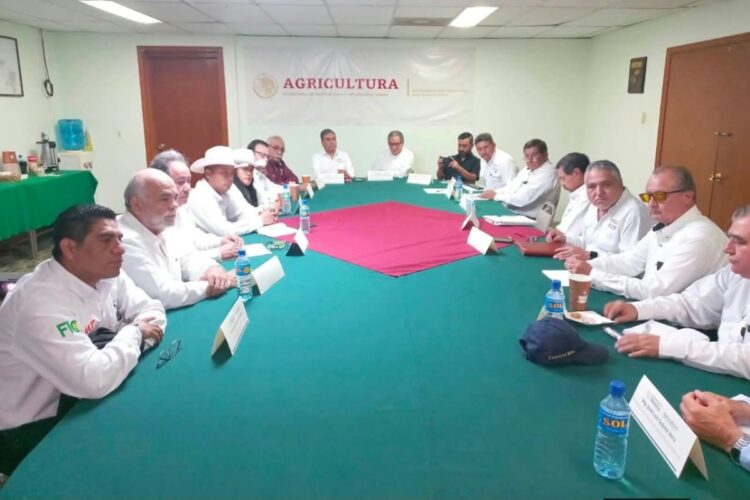 Preparan plan de reconversión agrícola para aliviar situación del campo tamaulipeco