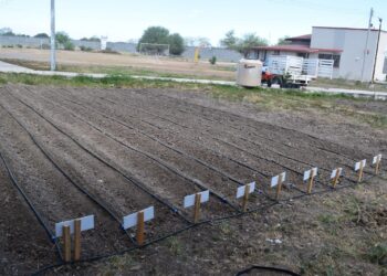 Crean huerto para adolescentes en Güémez