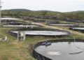 Abre Conapesca inscripciones para el Programa de Energía Eléctrica para Uso Acuícola 2027
