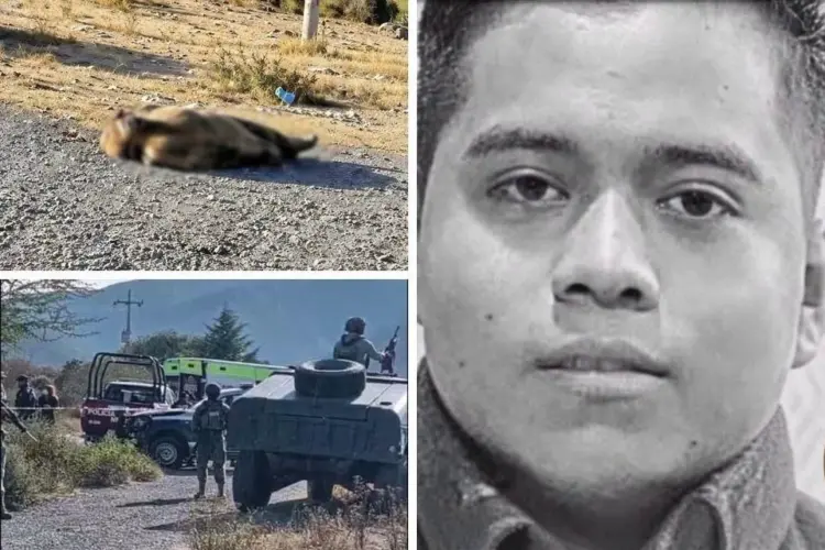 Hallan muerto al hijo del edil de Tecamachalco