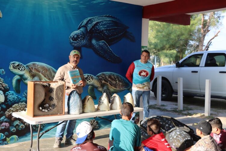 Familias participan en liberación de tortugas