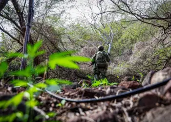 Mueren seis en enfrentamiento en Nayarit
