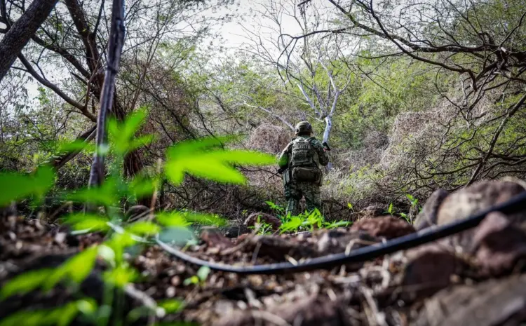 Mueren seis en enfrentamiento en Nayarit