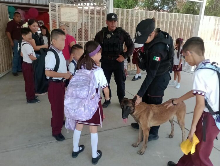 Binomios K-9 refuerzan seguridad escolar en Tamaulipas