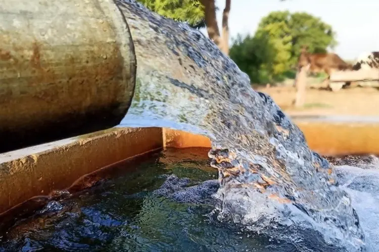 Acceso a agua y energía define competitividad estatal