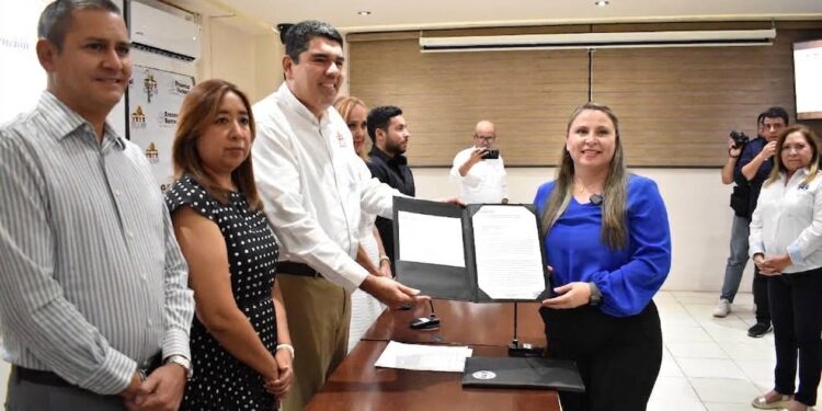 Manifiestan partidos PAZ, PVEM y PAN intenciones de participar en elección 2026/2027 ante IETAM