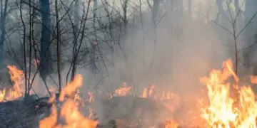 Arde Tamaulipas: Fuerte calor y viento causan incendios forestales en Hidalgo, Jaumave y Casas