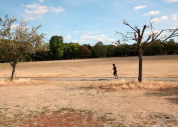 Verano de 2026 rompe récord histórico de calor en Reino Unido