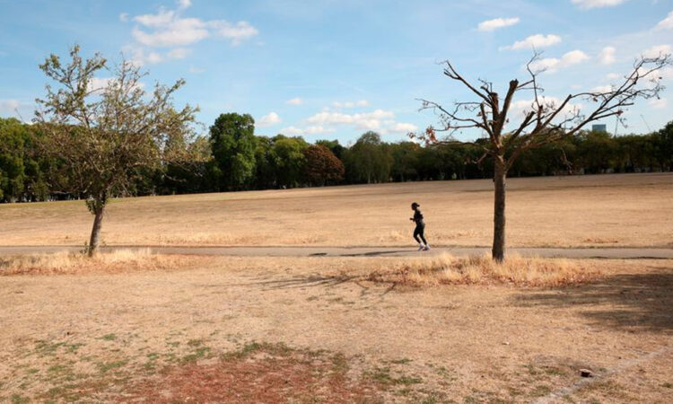 Verano de 2026 rompe récord histórico de calor en Reino Unido