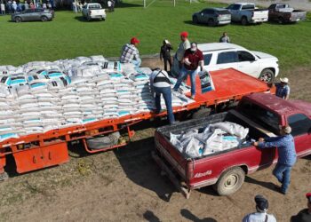 Distribuyen 662.5 toneladas de fertilizante