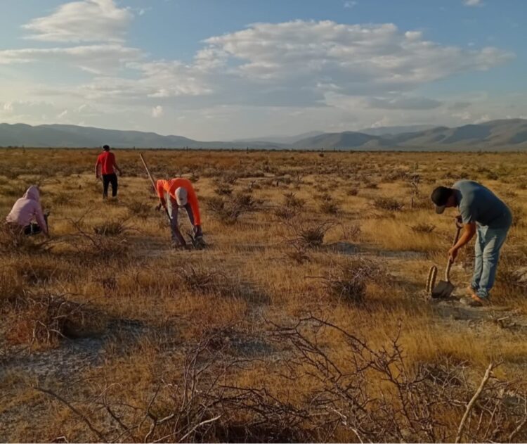 Reconocen talento de estudiantes en Concurso de Fotografía de los Telebachilleratos Comunitarios