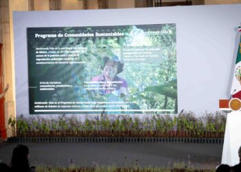 Sembrando Vida: La meta es beneficiar a 450 mil personas y plantar mil 500 millones de árboles o plantas