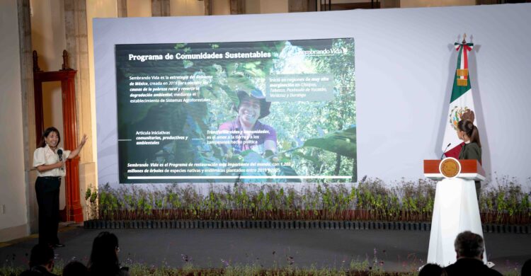 Sembrando Vida: La meta es beneficiar a 450 mil personas y plantar mil 500 millones de árboles o plantas