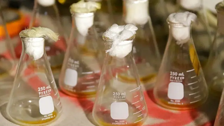 Muerte en laboratorio ruso reabre debate sobre armas biológicas