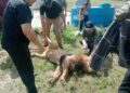 León moviliza operativo en Matamoros
