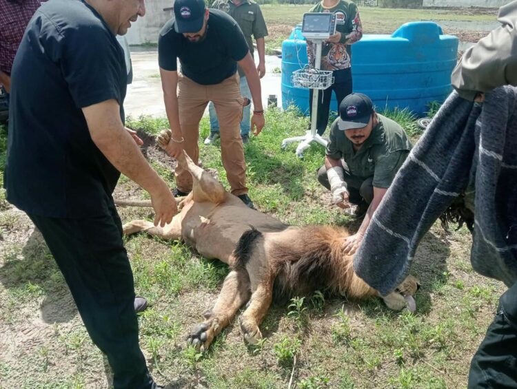 León moviliza operativo en Matamoros