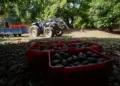 Grupo armado mata a tres empacadores de aguacate