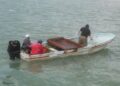 CONAPESCA autoriza captura de lisa y liseta en Laguna Madre, Tamaulipas del 11 al 30 de noviembre