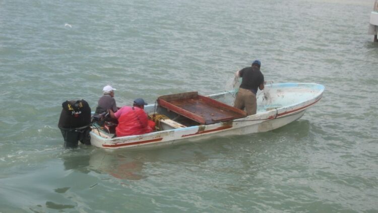 CONAPESCA autoriza captura de lisa y liseta en Laguna Madre, Tamaulipas del 11 al 30 de noviembre