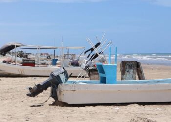 Pescadores de Matamoros esperan mejorar sus ingresos