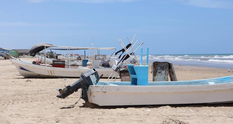 Pescadores de Matamoros esperan mejorar sus ingresos