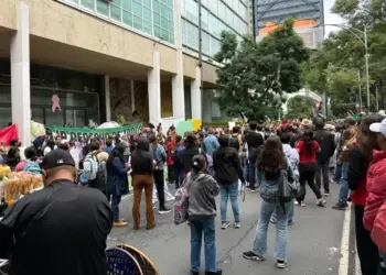 Vigilarán consulta sobre salarios en el IMSS