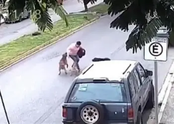 Mujer es atacada por tres perros