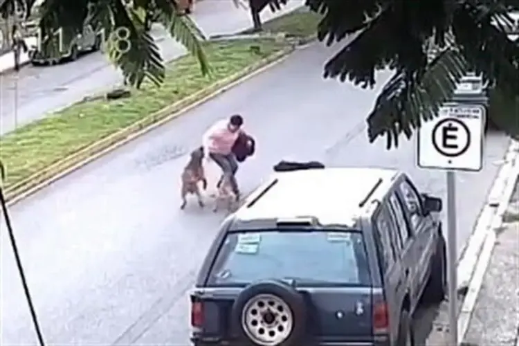 Mujer es atacada por tres perros