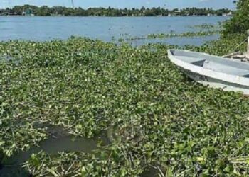 Investigan presunto desfalco por más de 13 mdp en Madero