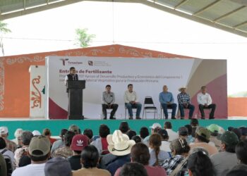 Impulsan productividad citrícola con entrega de fertilizante en Güémez