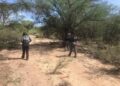 Hallan restos óseos calcinados en Matamoros