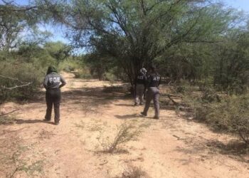 Hallan restos óseos calcinados en Matamoros
