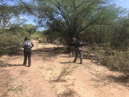 Hallan restos óseos calcinados en Matamoros