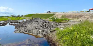 Investigan contaminación por hidrocarburo en Altamira